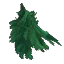 Fir Leaves