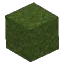 Dark Green Moss Block