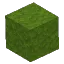 Green Moss Block