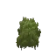 Plant Moss Block Green Dark