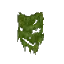 Green Wall Moss