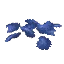 Plant Flower Blue Harvest