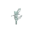 Spiral Sapling