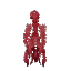 Red Arid Seaweed