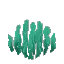 Seaweed