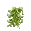 Winter Seaweed Stack