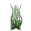 Tall Winter Seaweed