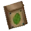 Beech Seed Bag