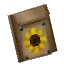 Sunflower Seed Bag