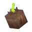 Seed Test Tree