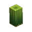 Prototype - Cactus Tall Middle