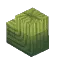 Prototype - Cactus Tall Thick Arm Large
