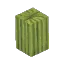 Prototype - Cactus Tall Thick Top
