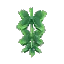Hanging Succulent Three - End