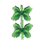 Hanging Succulent Two - Vertical