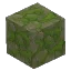 Mossy Stone