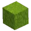 Sunny Full Grass