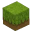 Sunny Grass
