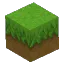 Grass