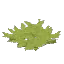 Grass Trap