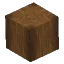 Beech Tree Trunk