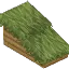 Tropical Wood Roof - Shallow