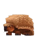 Armadillo
