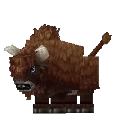 Bison