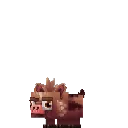 Boar Piglet