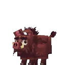 Boar
