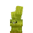 Cactee