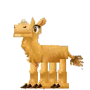 Camel Calf