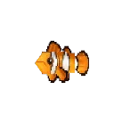 Clownfish