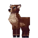 Deer Doe