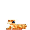 Gecko