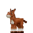 Horse Foal