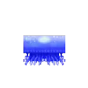 Jellyfish Blue