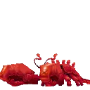 Lobster