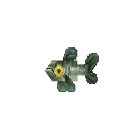 Minnow