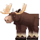 Moose Bull