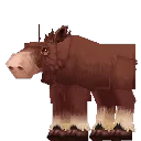 Moose Cow