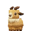 Mouflon Lamb