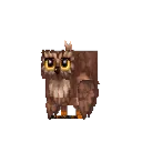 Owl Brown