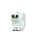 Owl Snow