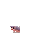 Pig Wild Piglet