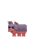 Pig Wild