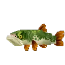 Pike