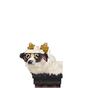 Ram Lamb