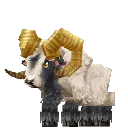 Ram