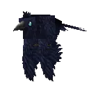 Raven